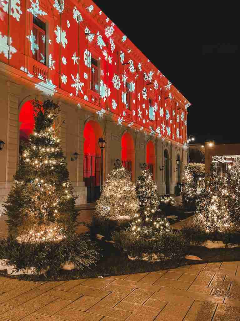 Giardino di luci in Piazza Ferrarese a Bari. Natale 2022 in Puglia.