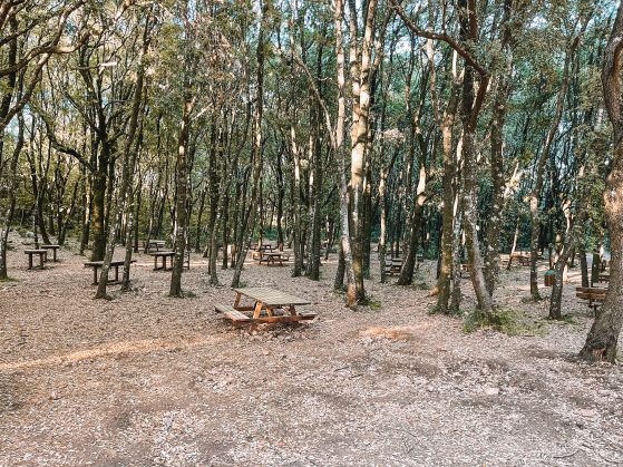 Scorcio bosco Le Pianelle - Martina Franca - Valle d'Itria