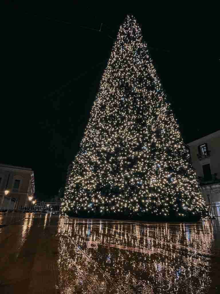 Albero di Natale in Piazza Ferrarese a Bari. Natale 2022 in Puglia.