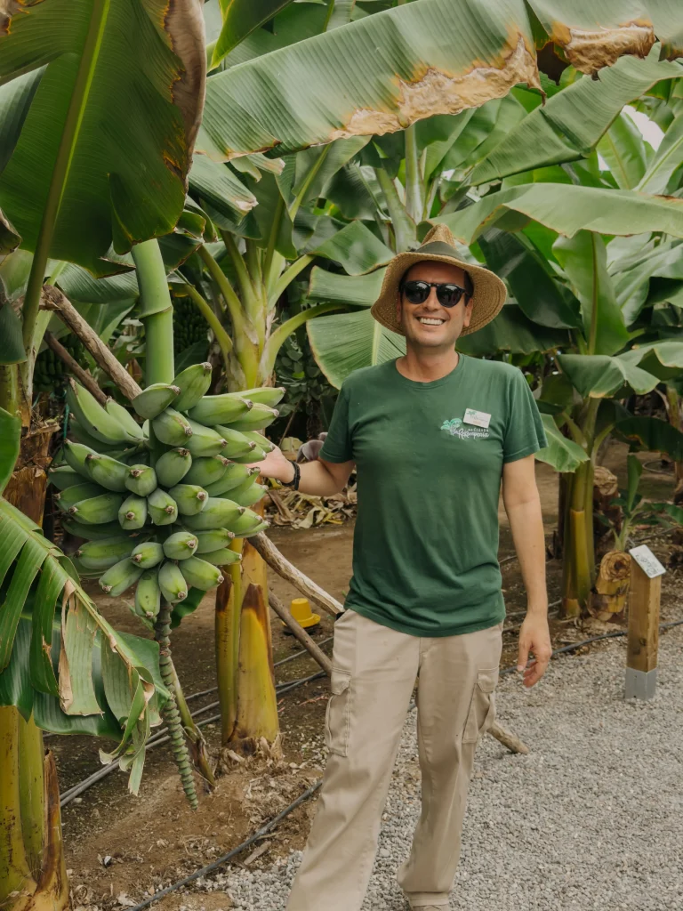 Julio, la guida de El mundo del platano, la piantagione di platano canario ad Arucas in Gran Canaria