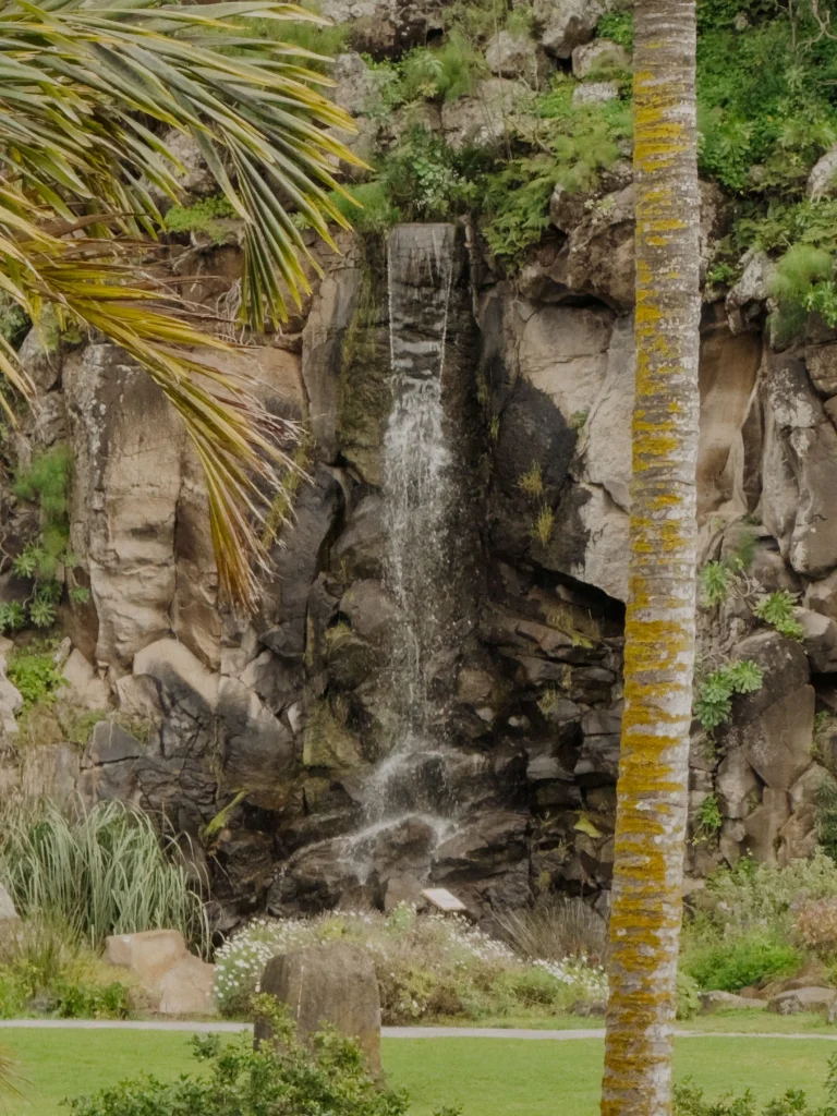 Cascata nel giardino botanico di Las Palmas de Gran Canaria