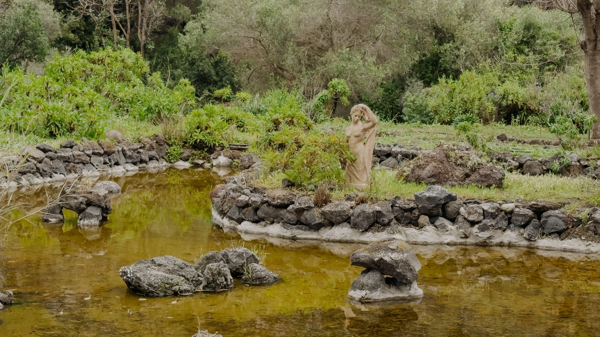 Scorcio del giardino botanico a las palmas de gran canaria