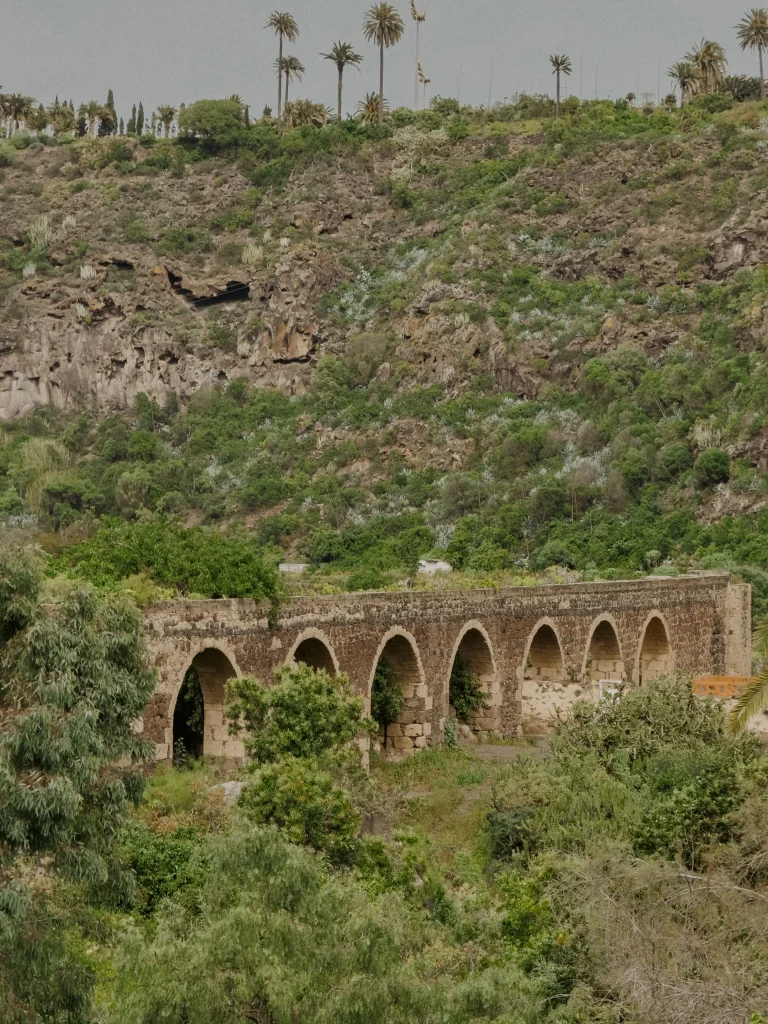 Scorcio su ponte nel giardino botanico di Las Palmas de Gran Canaria