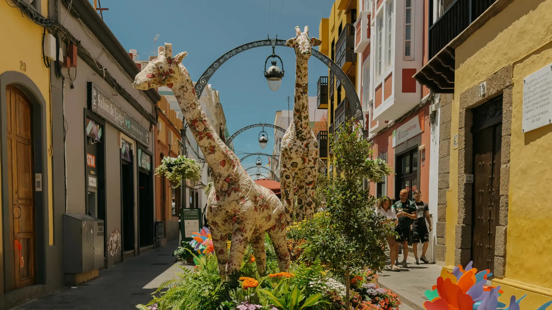 Gáldar en Flor 2026 calle Capitán Quesada fiori
