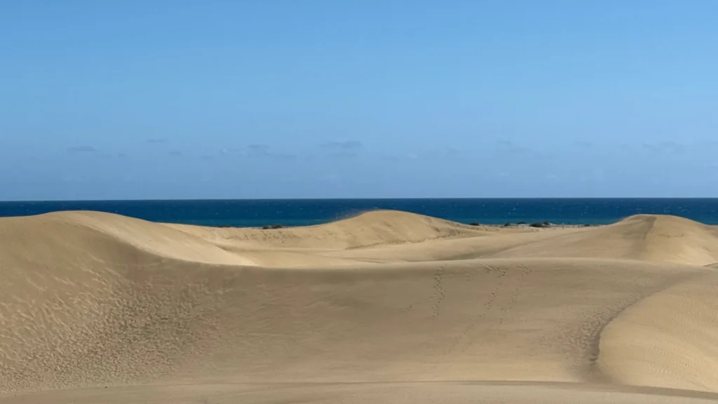 Cosa vedere a Maspalomas: le dune dorate con il mare blu all'orizzonte