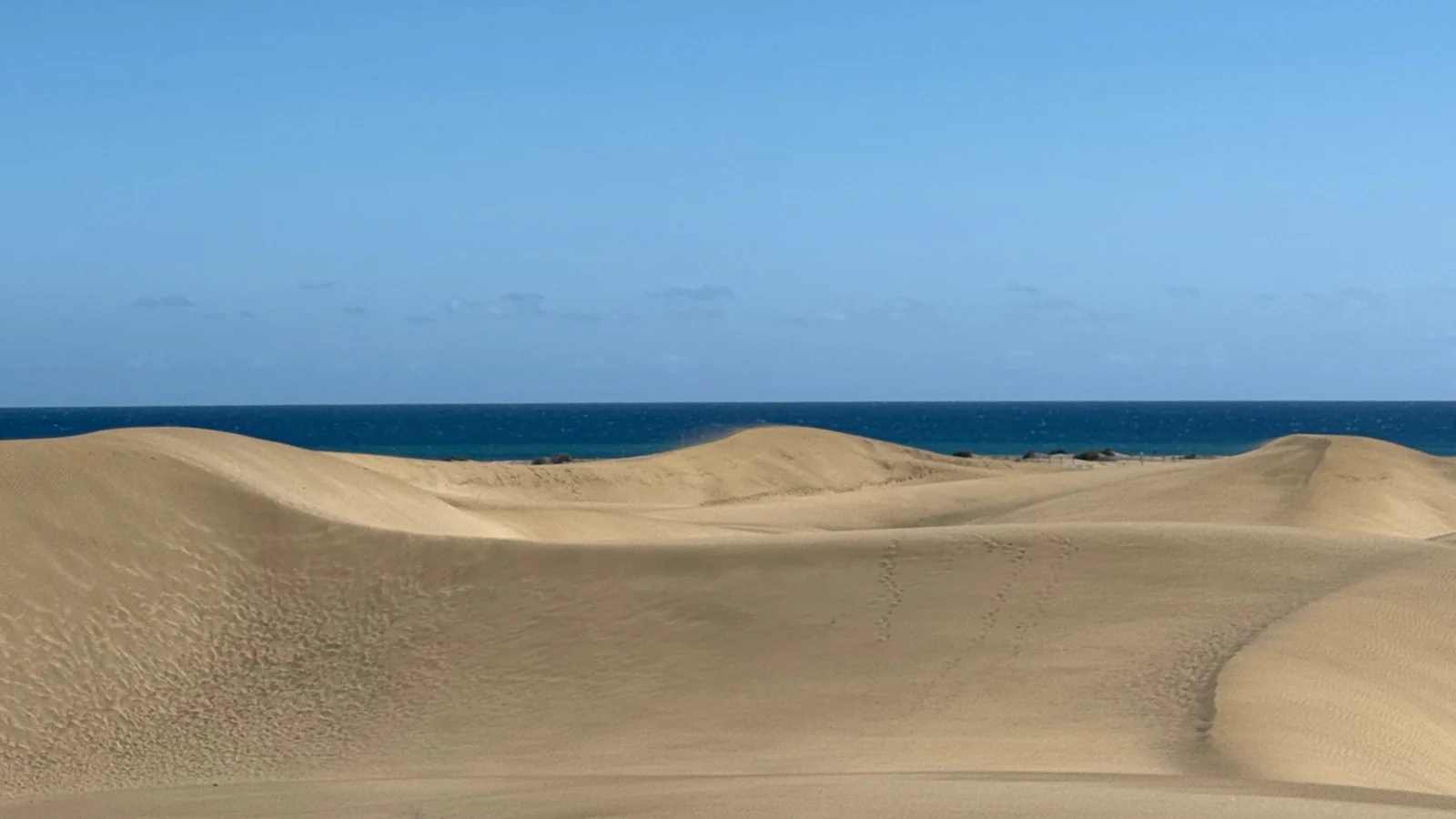 Cosa vedere a Maspalomas: le dune dorate con il mare blu all'orizzonte