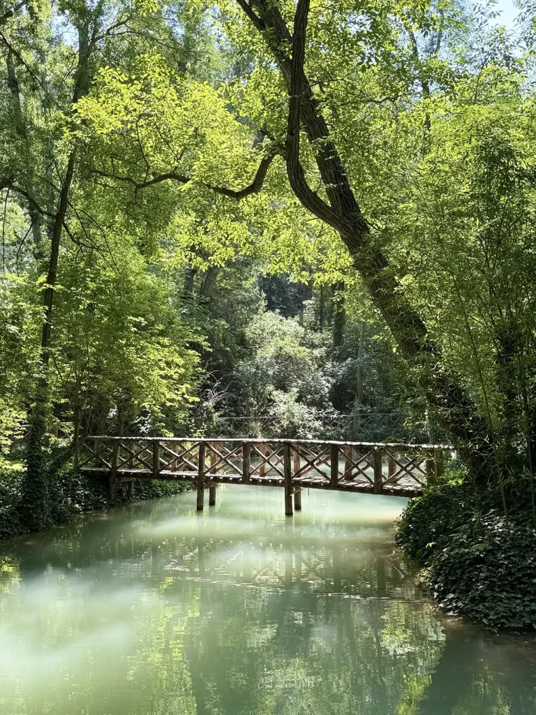 Ponte di legno sul fiume Piedra nel parco del Monasterio de Piedra