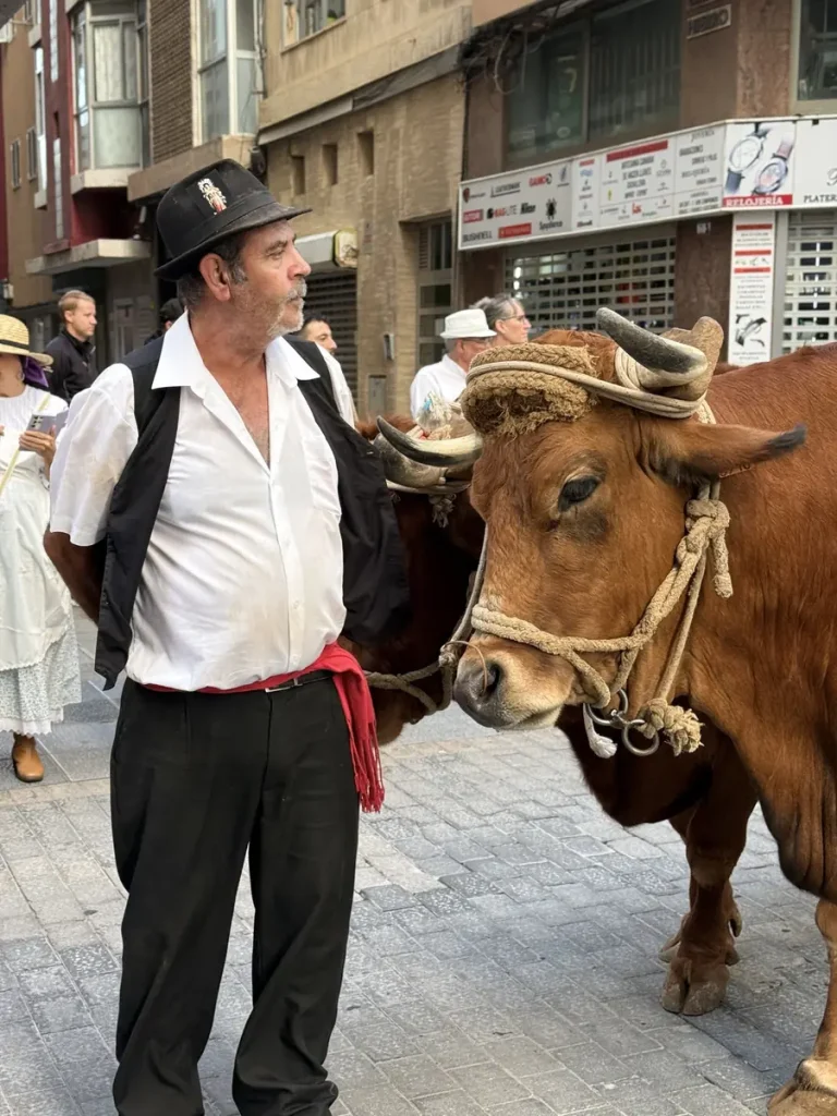 Un uomo in costume tradizionale accanto a un bue con il giogo decorato, durante la romería di Las Palmas