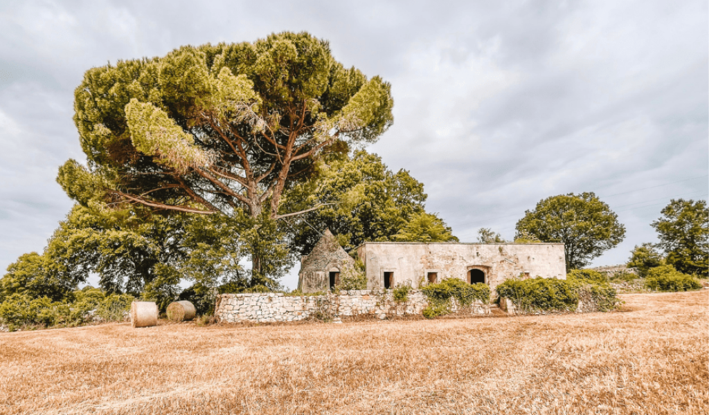 Scorcio campagna Valle d'Itria con trullo e balle di fieno
