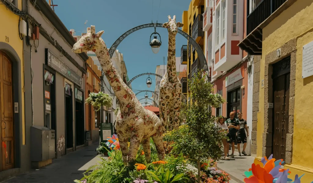 Gáldar en Flor 2026 calle Capitán Quesada fiori