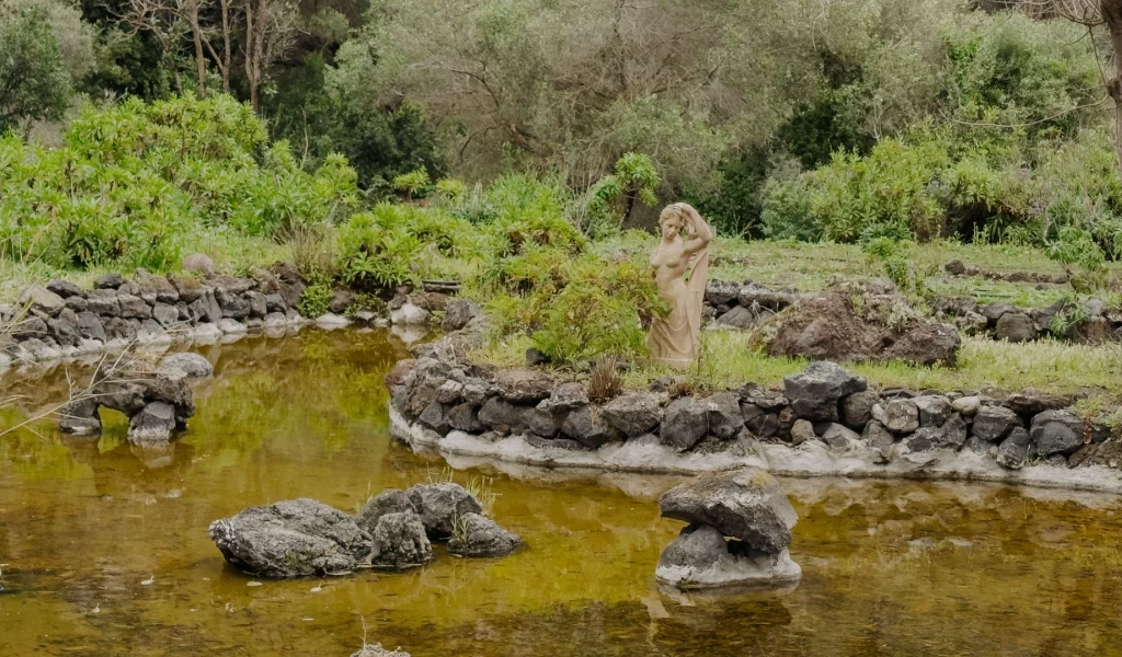 Scorcio del giardino botanico a las palmas de gran canaria