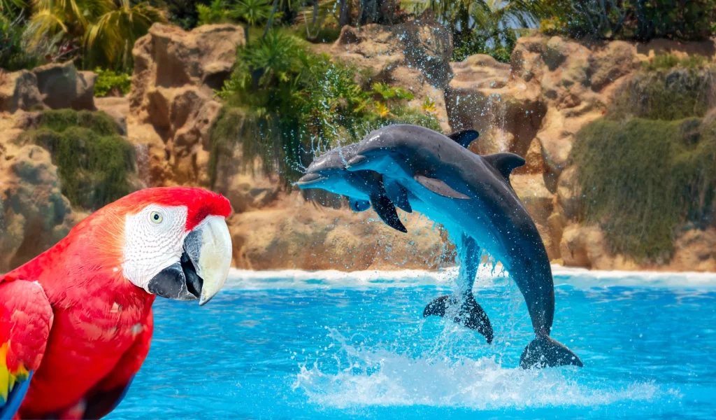 Loro Parque a Tenerife