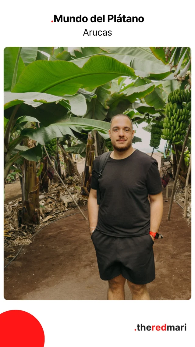 El mundo del plátano a Gran Canaria è sicuramente l’esperienza che non ti aspetti 🍌

Quando pensi a Gran Canaria immagini spiagge dorate e dune di Maspalomas, vero? Ecco, oggi ti porto in un posto completamente diverso che ti farà scoprire l'anima agricola dell'isola!

@mundodelplatanograncanaria è una vera piantagione di banane canarie dove puoi vivere un'esperienza immersiva e autentica. Non è il solito museo noioso, è un viaggio sensoriale che ti fa capire perché i platani canari (come si chiamano qui) sono considerati i migliori d'Europa!

🎒 COSA TROVI:
• Visita guidata di 35 minuti tra i filari di plataneras con guida
• Storia e curiosità sulla coltivazione (ho scoperto tantissime cose nuove)
• Piccolo museo con la storia del platano e della tradizione
• Degustazione finale con specialità a base di banana e prodotti tipici canari
• Negozietto con marmellate, liquori e souvenir locali
• Panorama mozzafiato con vista mare

🎒 INFO PRATICHE:
• Dove: Arucas (15 min da Las Palmas)
• Costo: 15€ a persona
• Durata: circa 1 ora
• Orari: 10:00 - 18:00
• Visite guidate in spagnolo e inglese
• Perfetto per famiglie, coppie e curiosi!

Un grazie speciale a Julio (@canaryroute), la guida simpaticissima che mi ha accompagnato in questo viaggio tra i platani e mi ha fatto innamorare ancora di più di questa isola con le sue storie e la sua passione! ❤️

Questo è il tipo di esperienza che amo condividere: autentica, economica e che ti fa entrare davvero nella cultura canaria. Non è turismo di massa, è scoprire l'isola con occhi diversi.

😏 Orsù…
Salva questo post se stai programmando un viaggio a Gran Canaria!

#grancanaria #elmundodelplatano #arucas #traveltip #visitgrancanaria #grancanariacultura